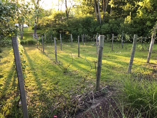222 Bradwell Road Inverness, IL 60010 - Photo 45 of 46 a view of a garden