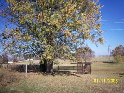 543 Miller Hunt Road Winchester, KY 40391 - Photo 14 of 31 Photo 14