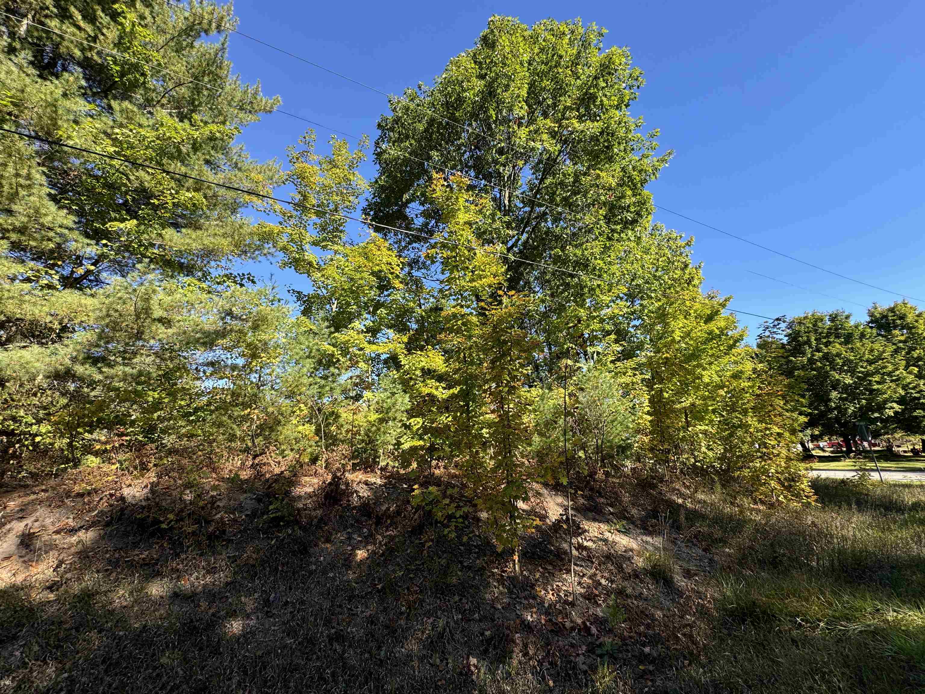 Lot 279 West 6th Road Buckley, MI 49620 - Photo 13 of 19 Gallery Image 13