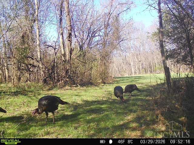 4051 State Rte 41 Manchester, OH 45144 - Photo 36 of 42