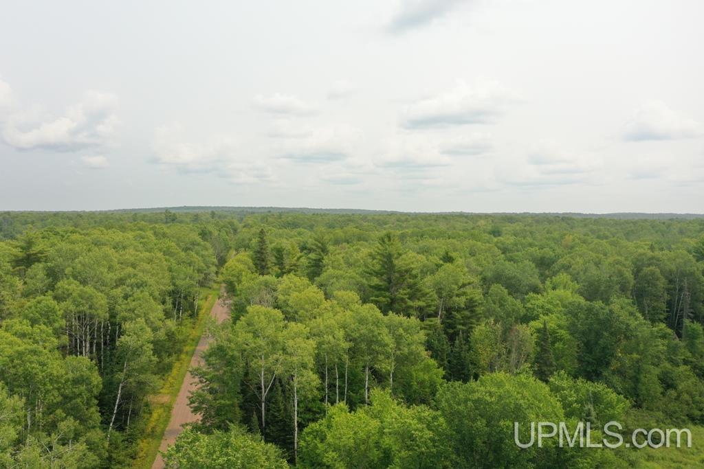 Tbd Tbd Goldberg Road Ewen, MI 49925 - Photo 3 of 6