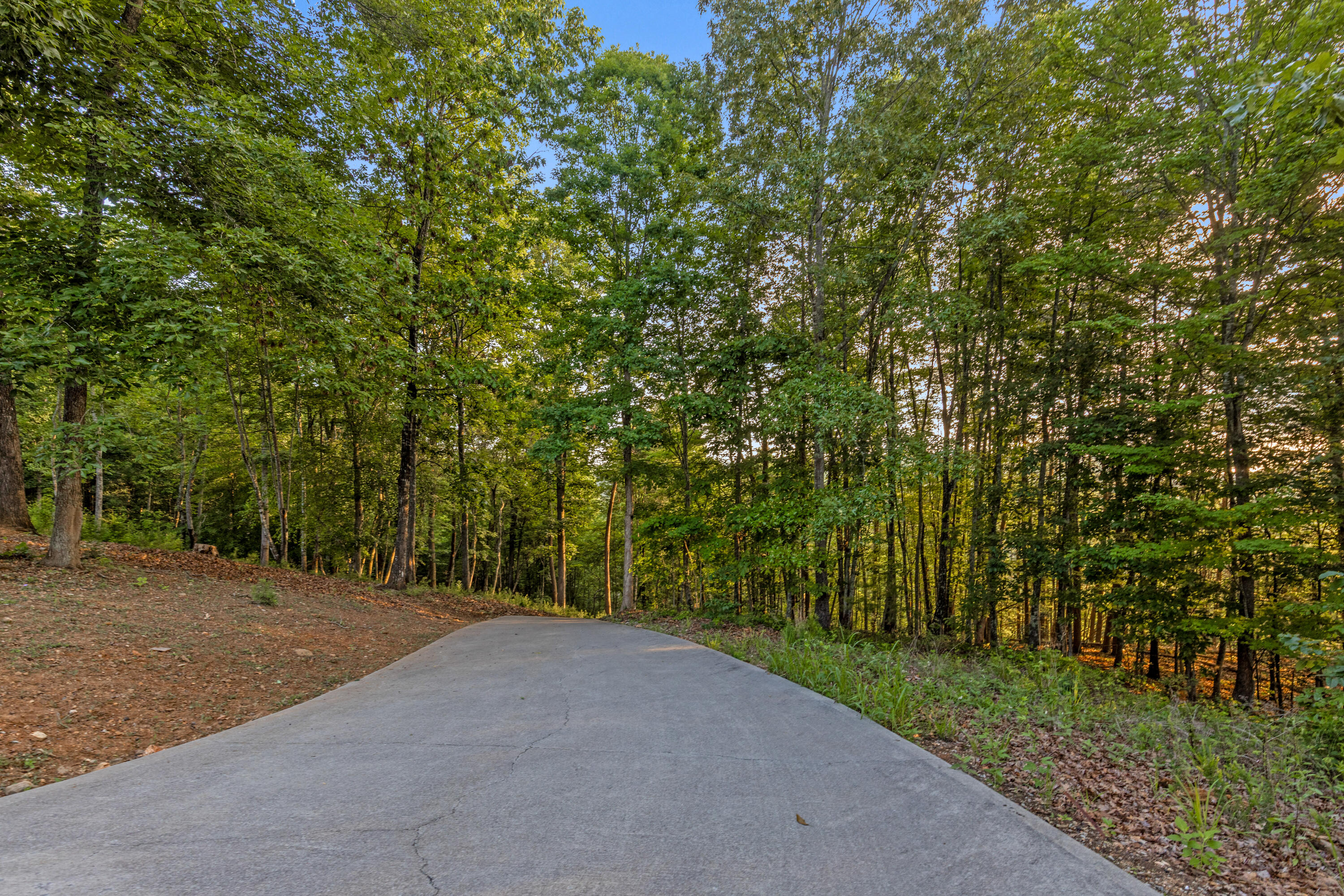 260 Lakeside Lodge Road Spring City, TN 37381 - Photo 92 of 175 Lakeside-86