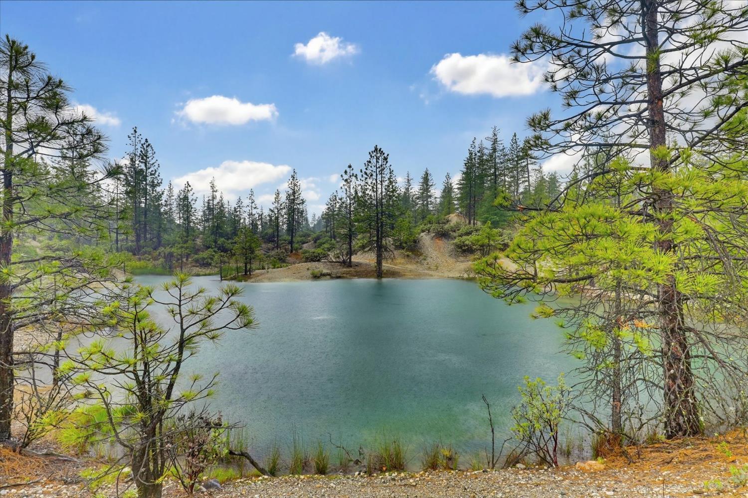 13751 Sailor Flat Road Nevada City, CA 95959 - Photo 42 of 49