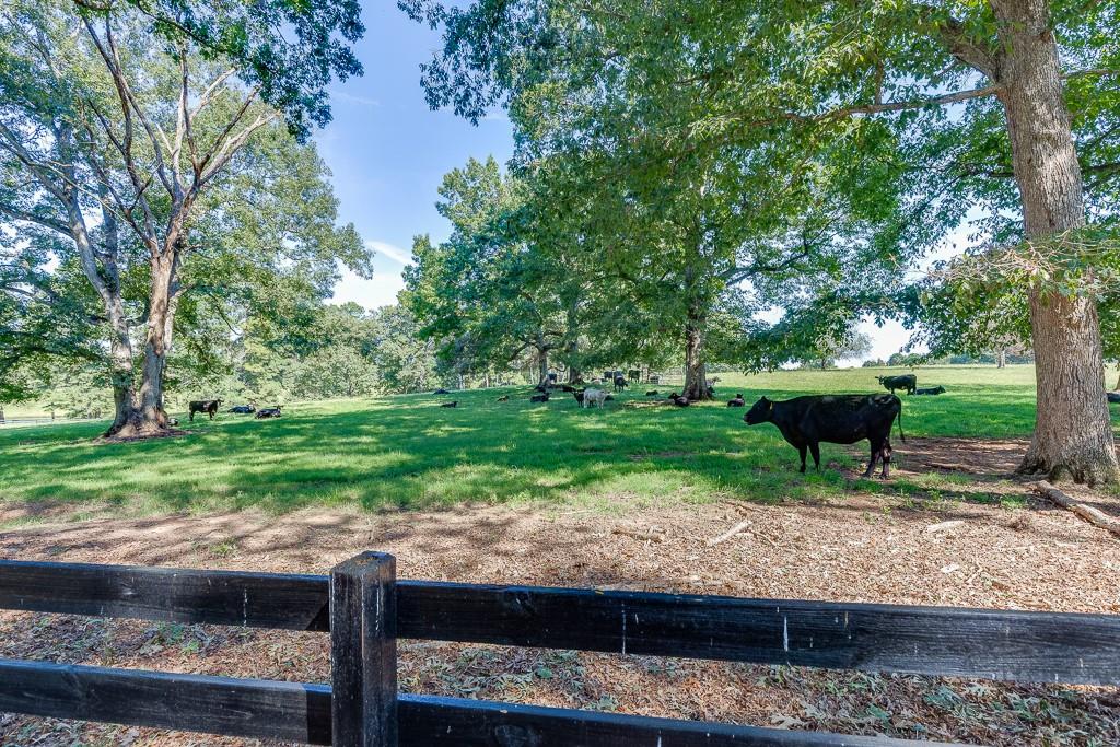 986 Austin Road Winder, GA 30680 - Photo 123 of 135