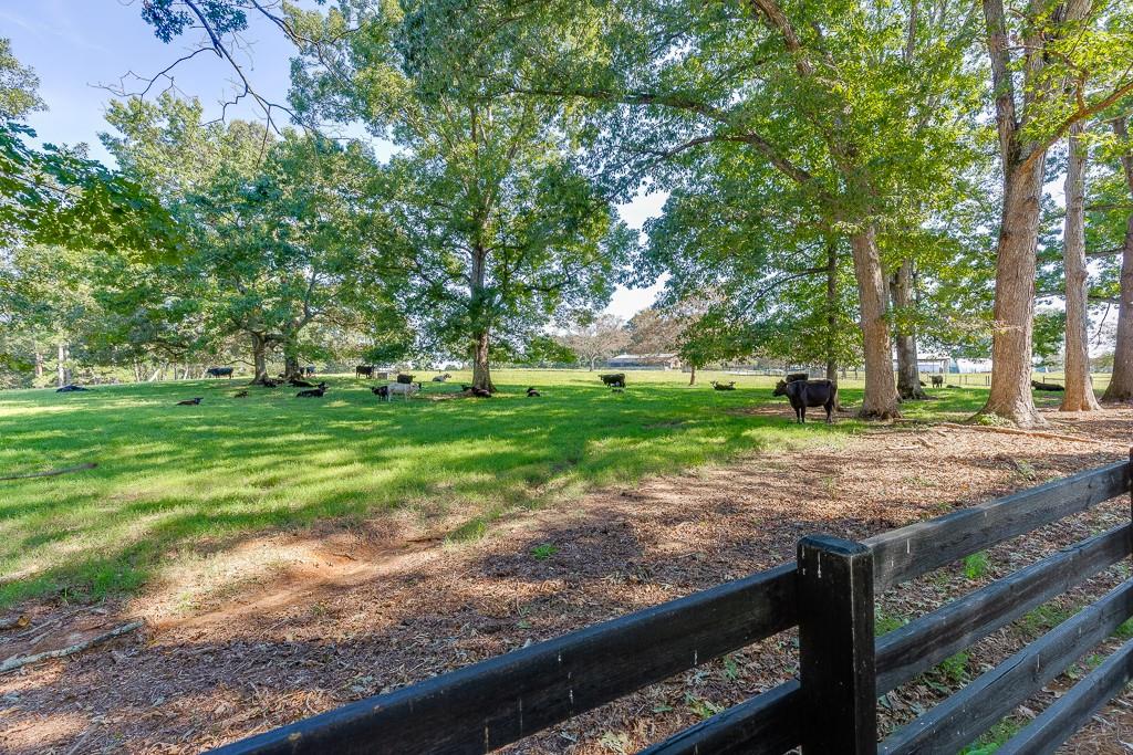 986 Austin Road Winder, GA 30680 - Photo 124 of 135