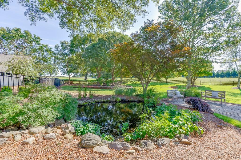 986 Austin Road Winder, GA 30680 - Photo 35 of 135 a view of a garden with plants and large trees