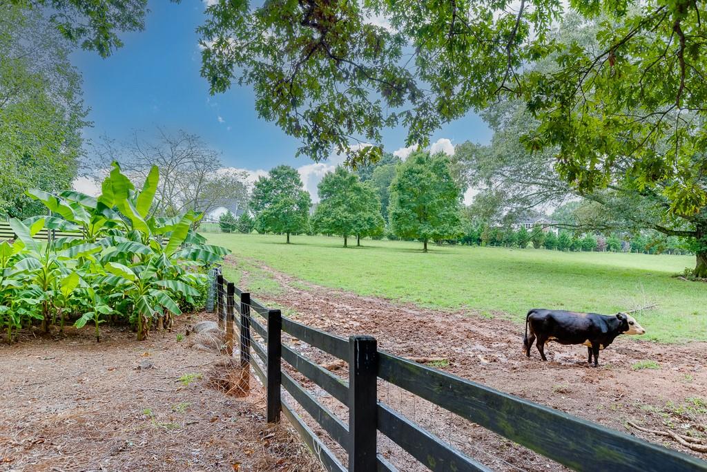 986 Austin Road Winder, GA 30680 - Photo 91 of 135