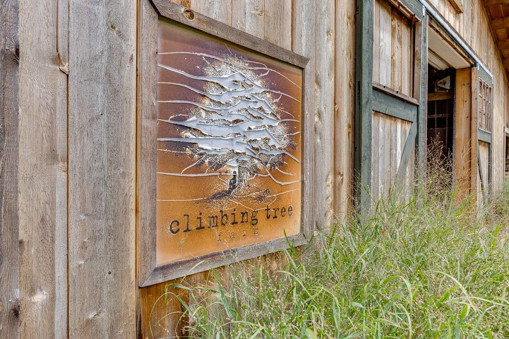 986 Austin Road Winder, GA 30680 - Photo 95 of 135