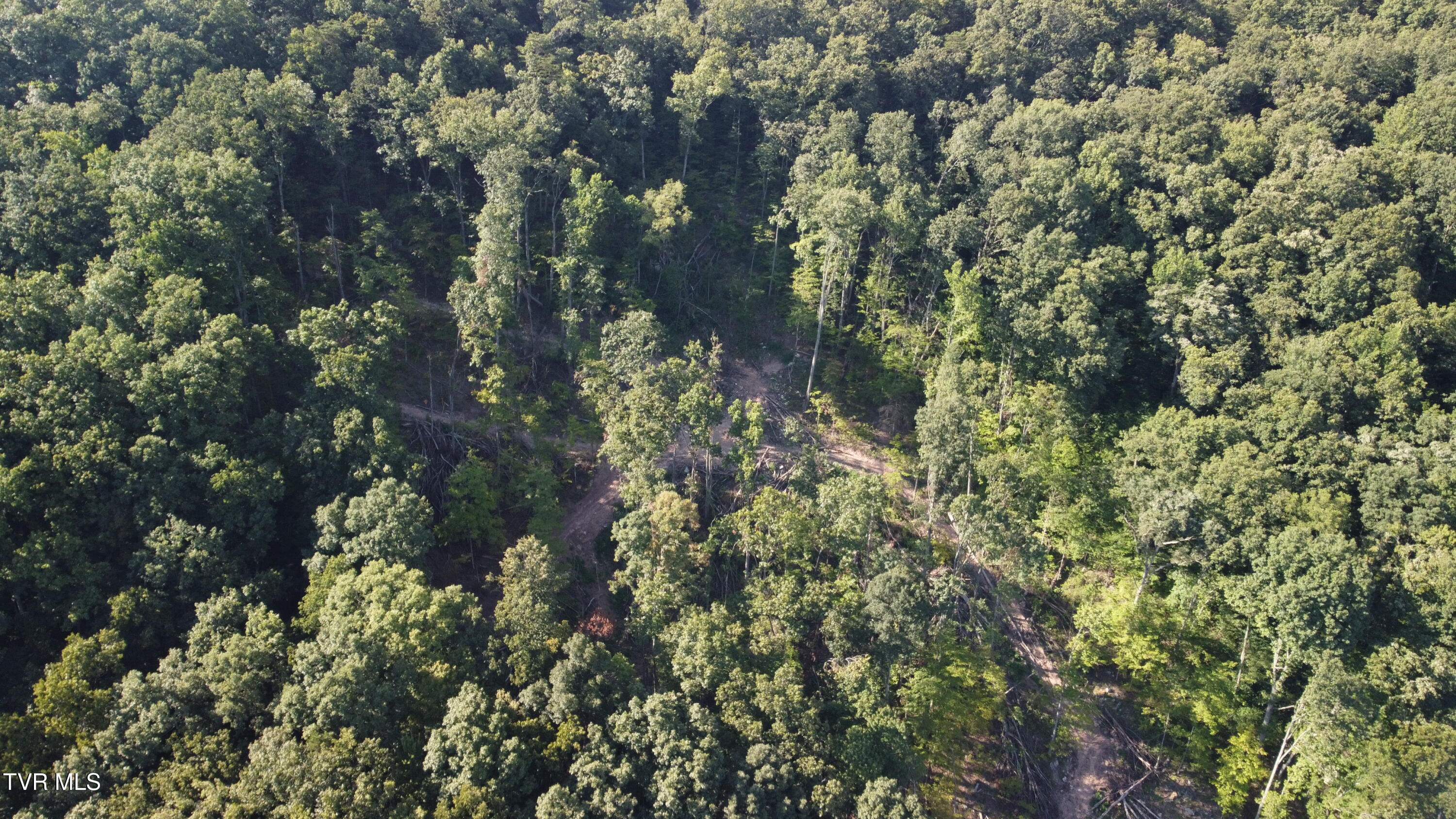 471 Early Branch Road Rogersville, TN 37857 - Photo 36 of 38 dji_fly_20250830_171258_177_175658853128