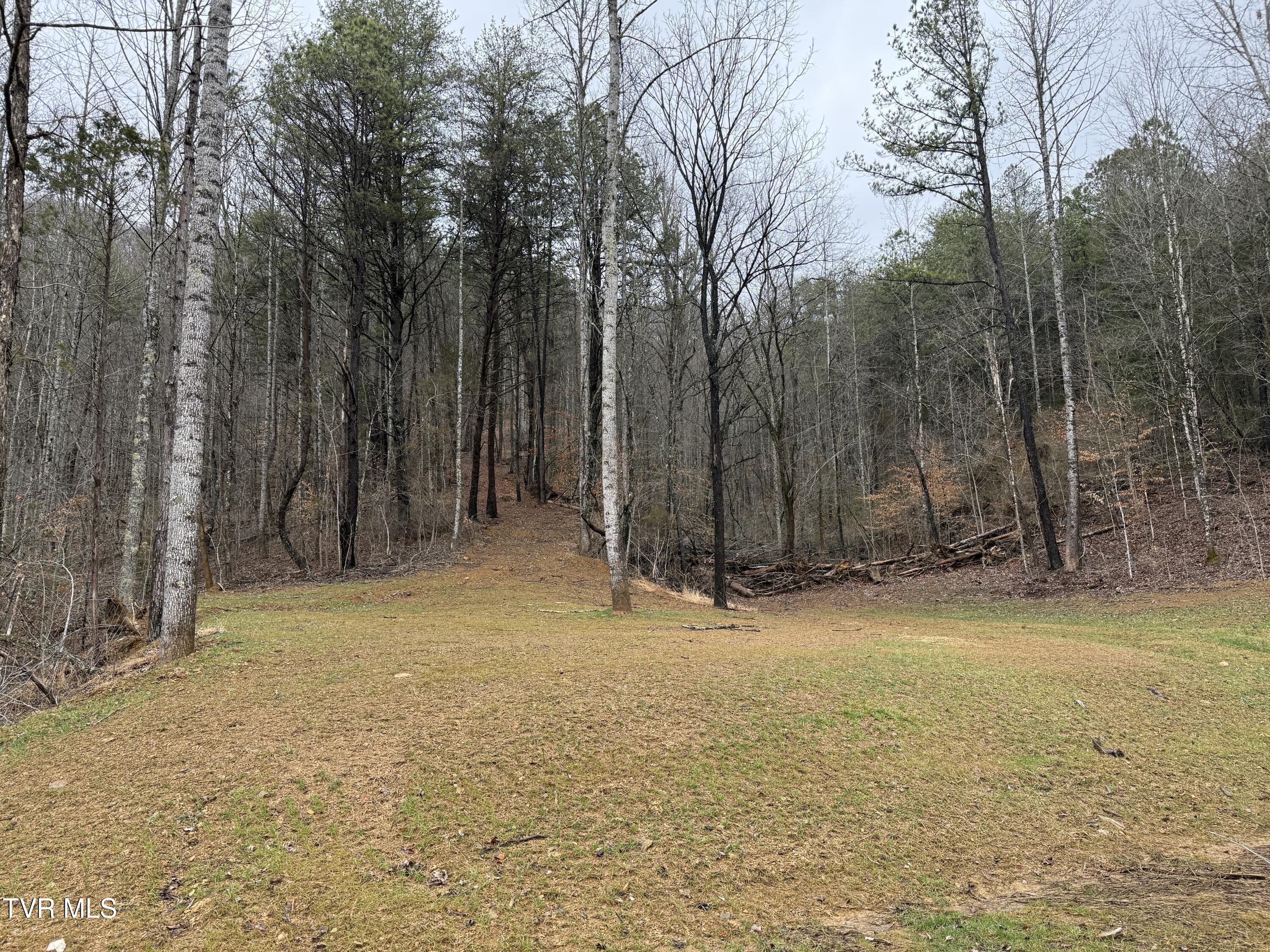 471 Early Branch Road Rogersville, TN 37857 - Photo 37 of 38 IMG_1659