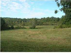 533 Lee Miller Road Leitchfield, KY 42754 - Photo 4 of 24 Additional Photo