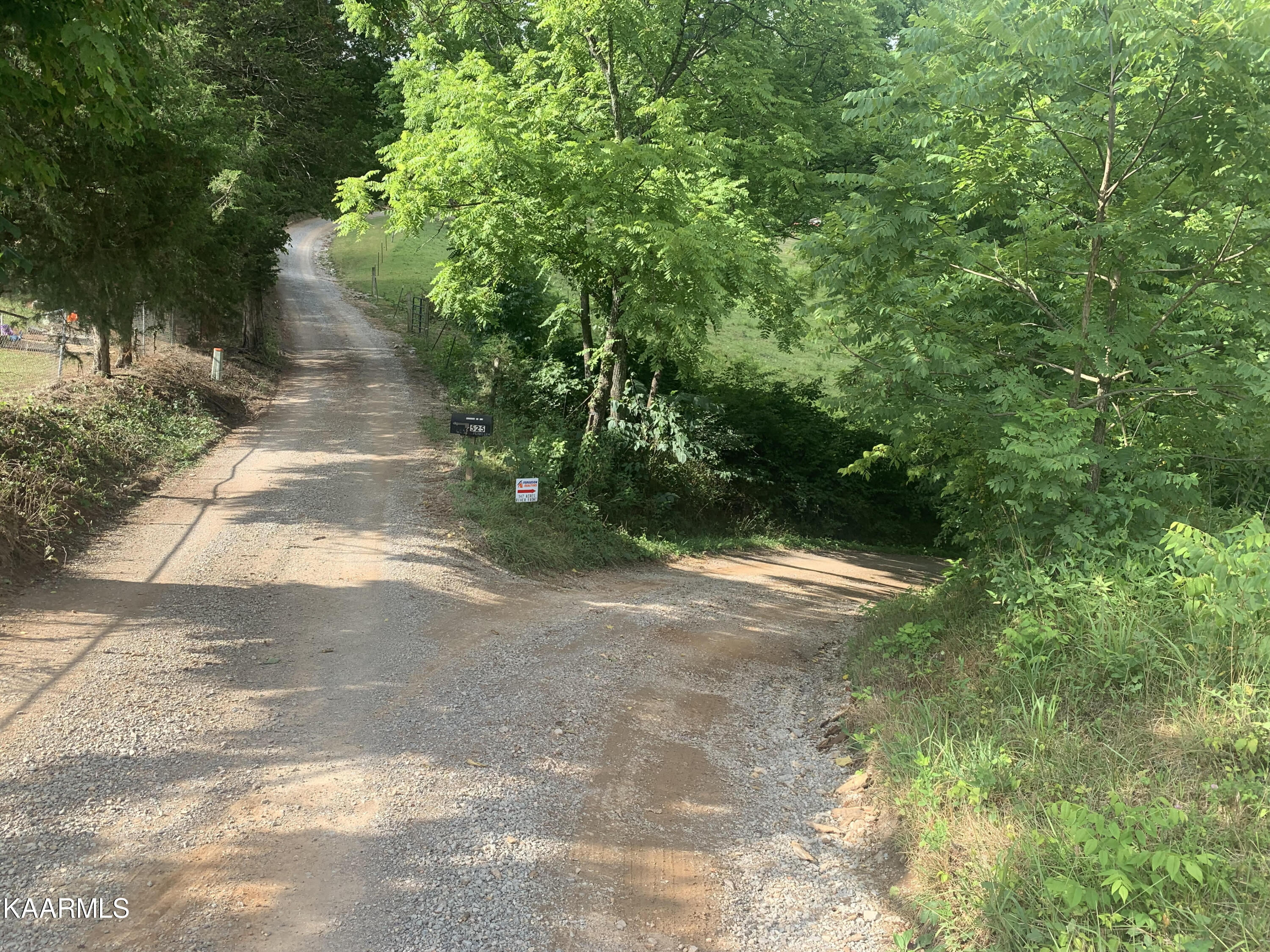 Howard Lane Harrogate, TN 37752 - Photo 11 of 24 unnamed (1)