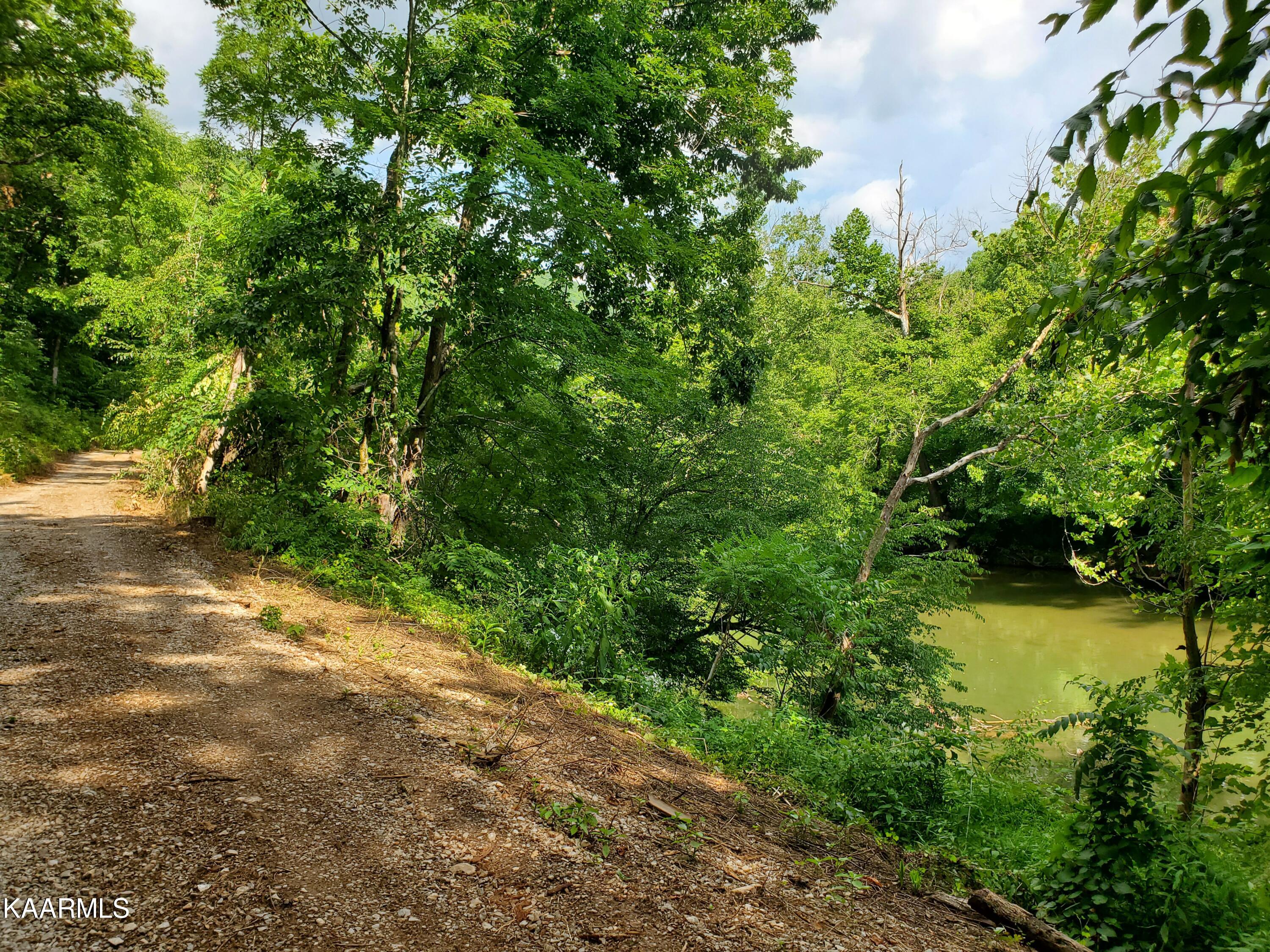 Howard Lane Harrogate, TN 37752 - Photo 13 of 24 20220703_170851