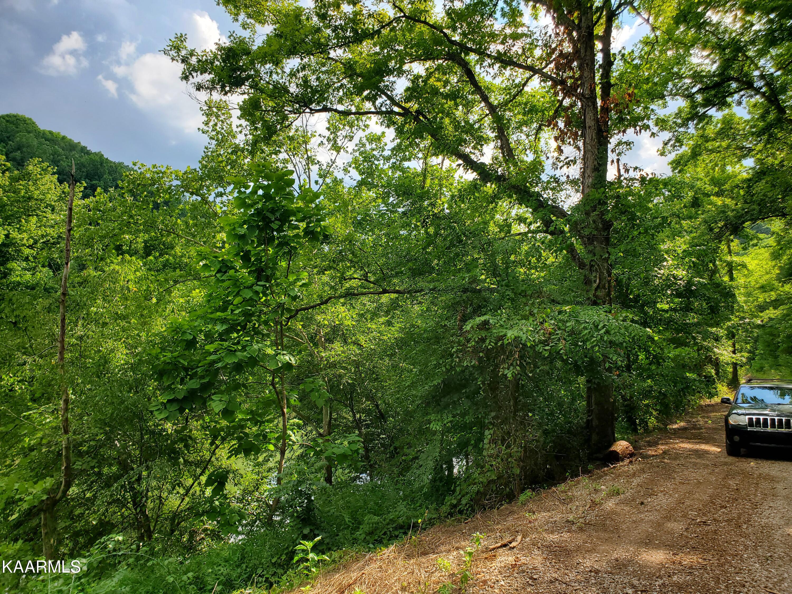 Howard Lane Harrogate, TN 37752 - Photo 20 of 24 20220703_170906