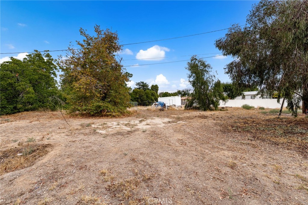 11870 3rd Street Yucaipa, CA 92399 - Photo 3 of 18 a view of a yard with a tree