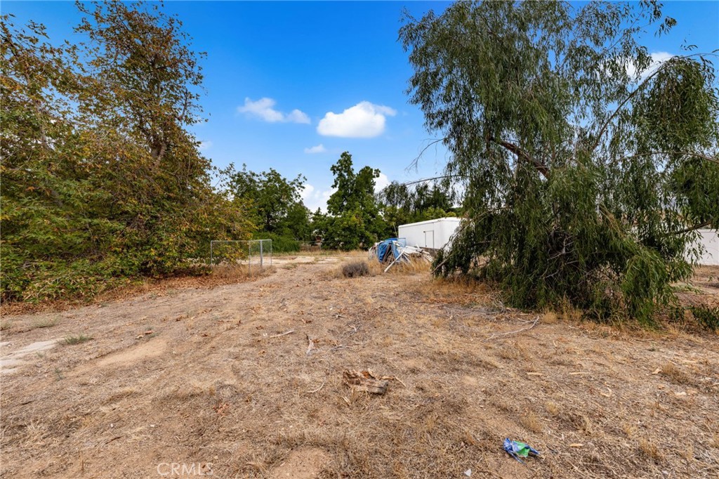 11870 3rd Street Yucaipa, CA 92399 - Photo 4 of 18 a view of a yard with a tree