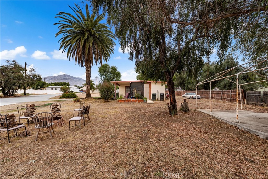 11870 3rd Street Yucaipa, CA 92399 - Photo 8 of 18 a row of palm trees sitting in a yard