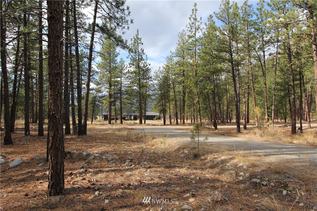 33 Last Chance Road Winthrop, WA 98862 - Photo 11 of 18 Gallery Image 11