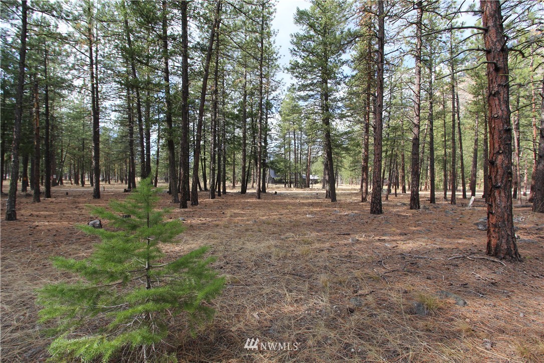 33 Last Chance Road Winthrop, WA 98862 - Photo 5 of 18 Gallery Image 5