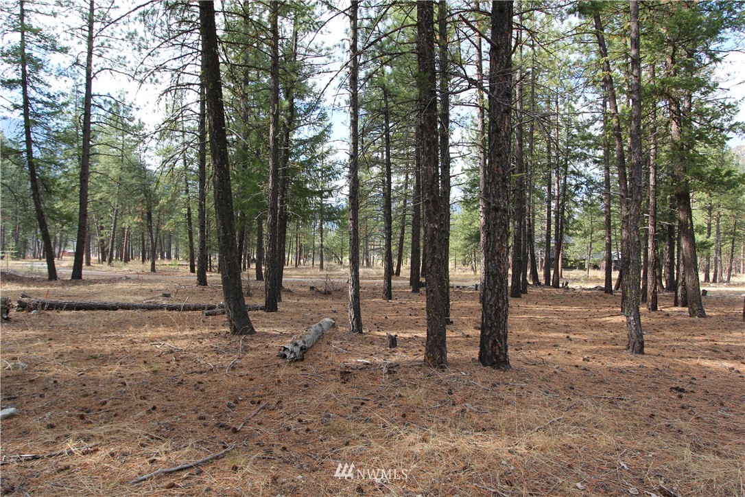 33 Last Chance Road Winthrop, WA 98862 - Photo 10 of 18 Gallery Image 10