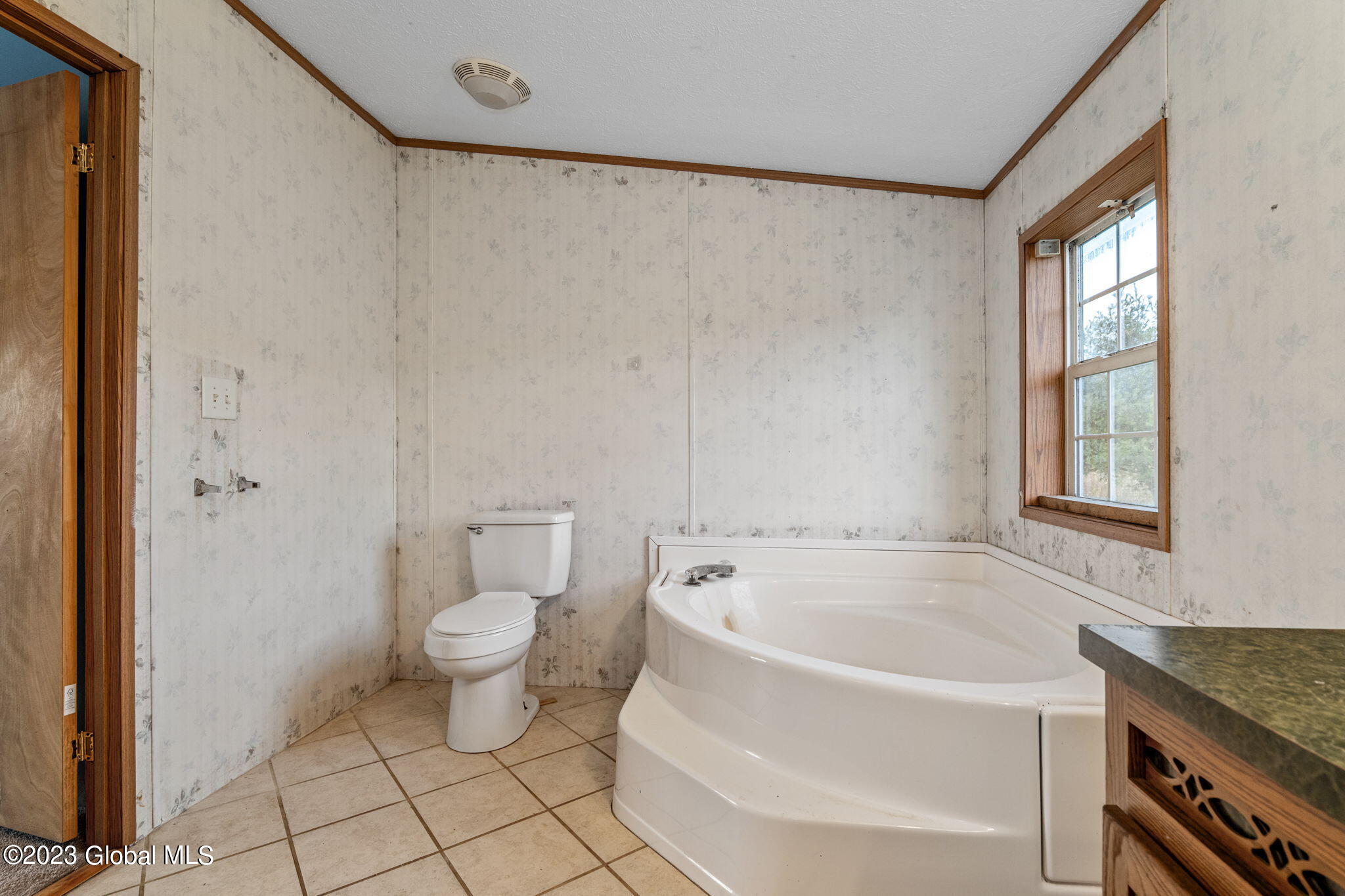 167 Lum Hill Road Worcester, NY 12197 - Photo 14 of 57 14-web-or-mls-167LumHillRd_07