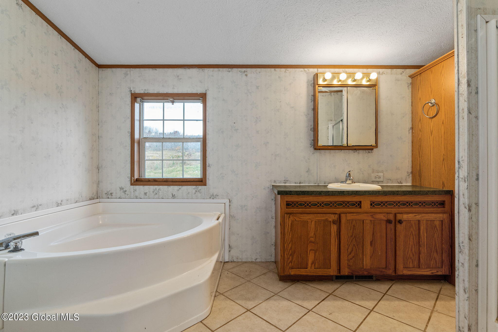 167 Lum Hill Road Worcester, NY 12197 - Photo 15 of 57 15-web-or-mls-167LumHillRd_08