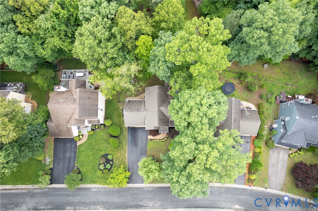 5512 Windy Ridge Terrace Midlothian, VA 23112 - Photo 6 of 48