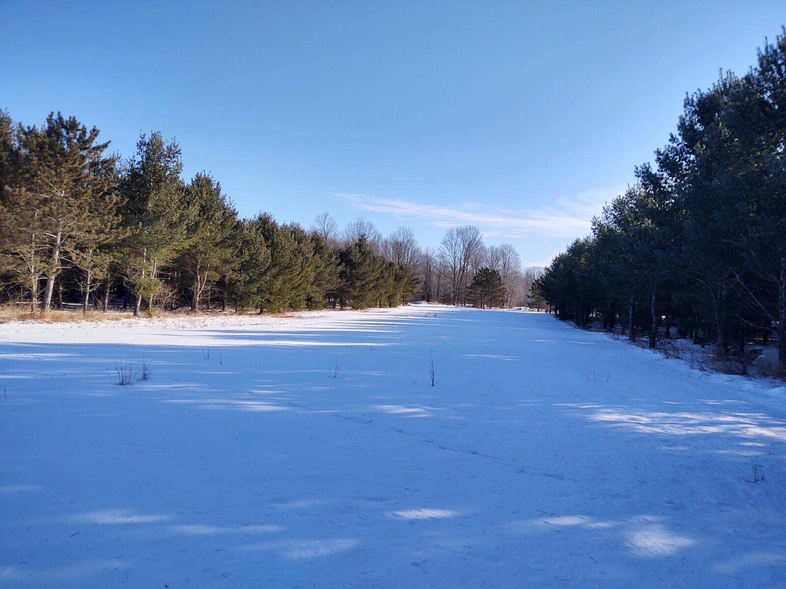 9710 Long Rapids Road Alpena, MI 49707 - Photo 21 of 30 Gallery Image 21