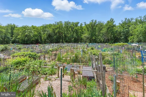 a view of a lake with a yard