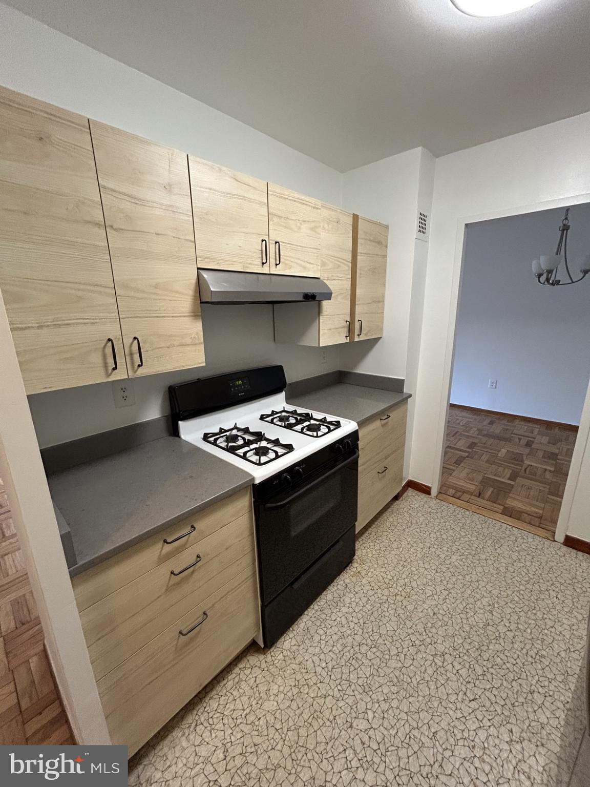 4000 Tunlaw Road Northwest, Unit 223 Washington, DC 20007 - Photo 4 of 28 a kitchen with a stove and a sink