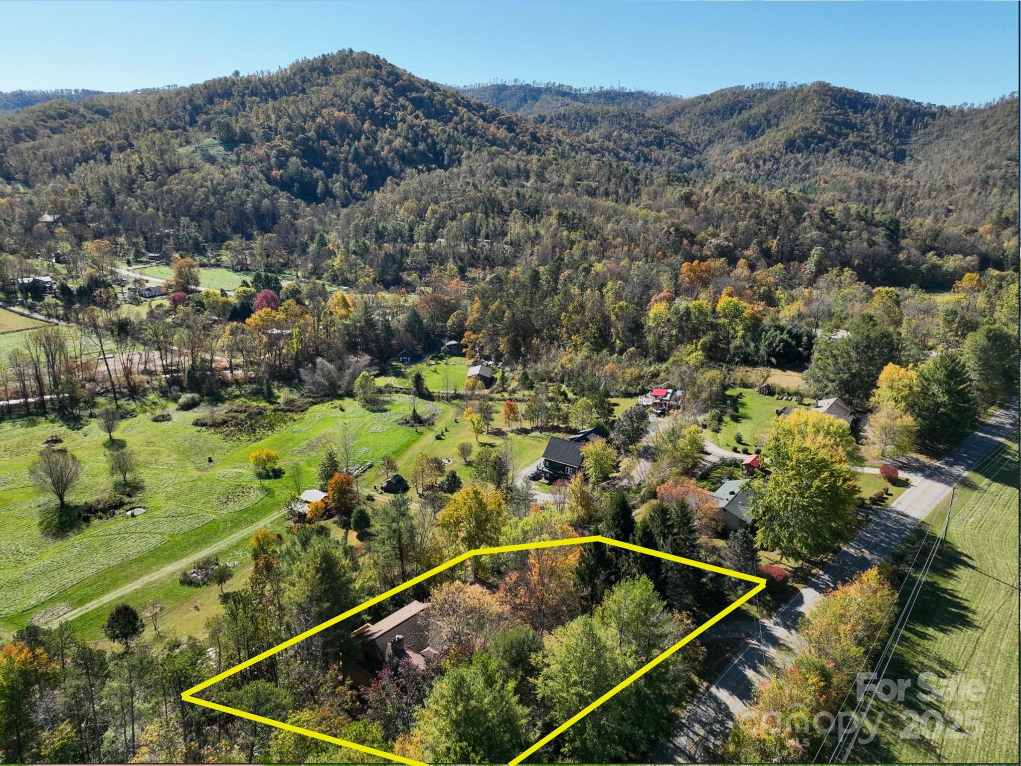 849 Reems Creek Road Weaverville, NC 28787 - Photo 2 of 47 Gallery Image 2