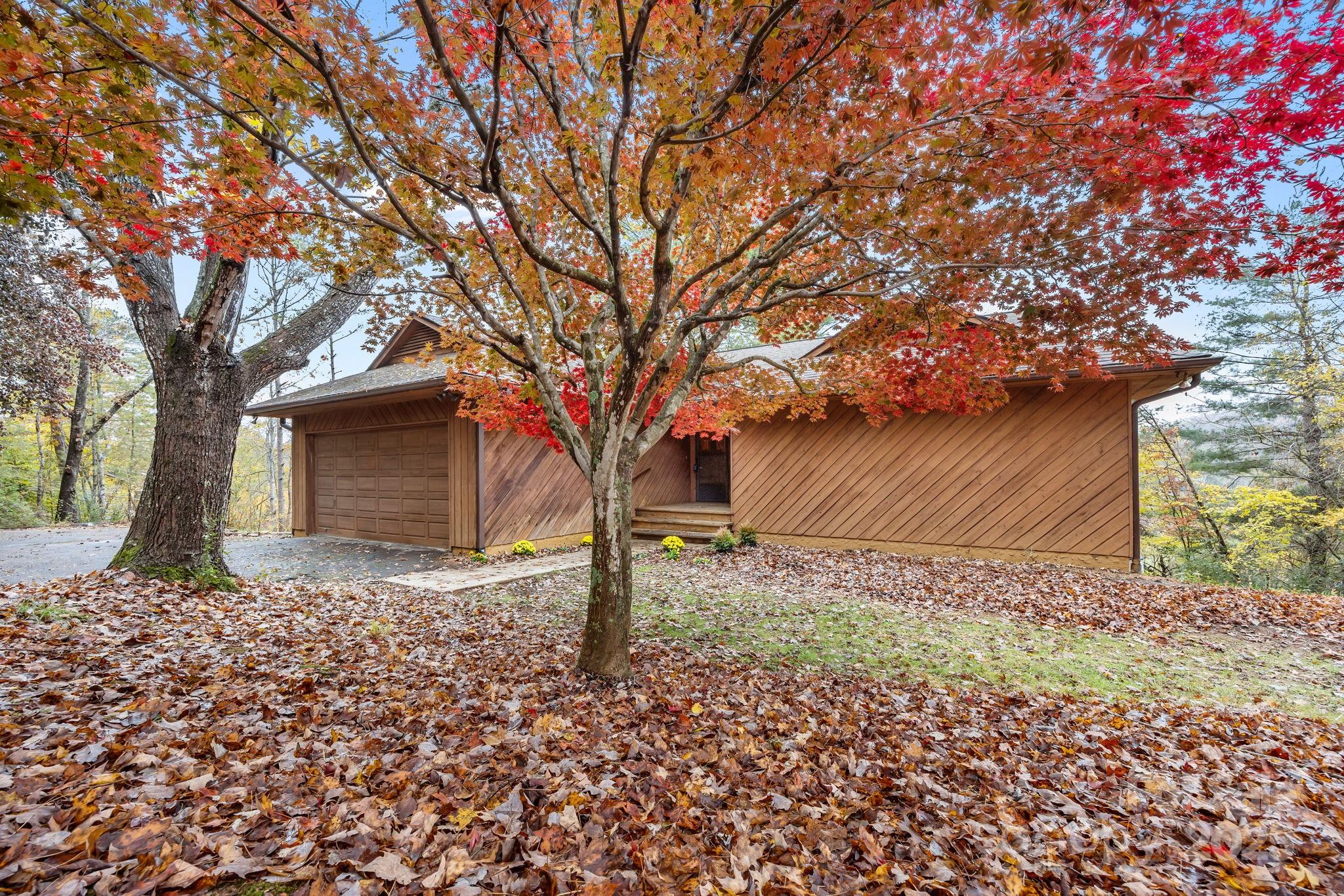 849 Reems Creek Road Weaverville, NC 28787 - Photo 3 of 47 Gallery Image 3