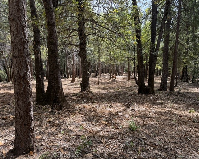 0 Platt Mountain Road Forest Ranch, CA 95942 - Photo 1 of 6 View from the middle to the back of the property