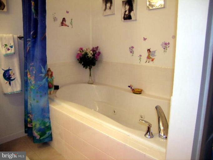 596 Fletcher Road Gore, VA 22637 - Photo 20 of 27 Master Bath #2