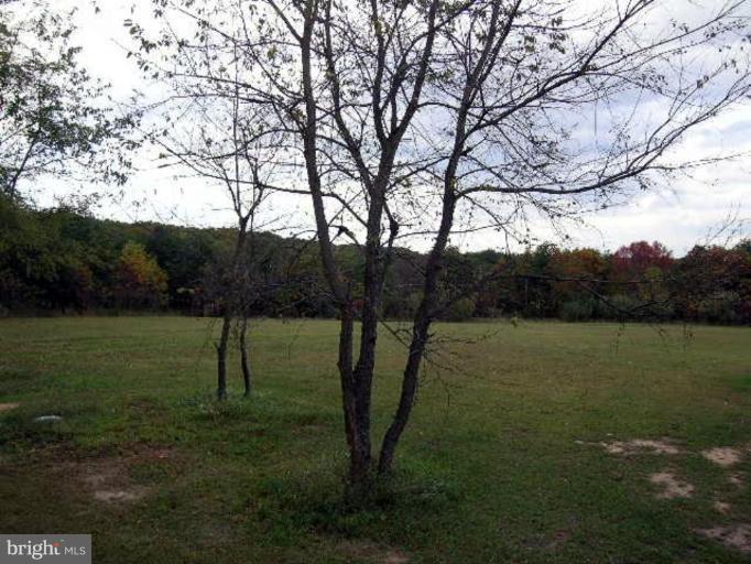 596 Fletcher Road Gore, VA 22637 - Photo 8 of 27 Exterior #5