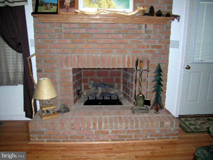 596 Fletcher Road Gore, VA 22637 - Photo 9 of 27 Fireplace