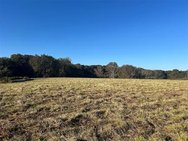 $715,208 | 0 Old Columbus Road, Bowdon, GA 30108