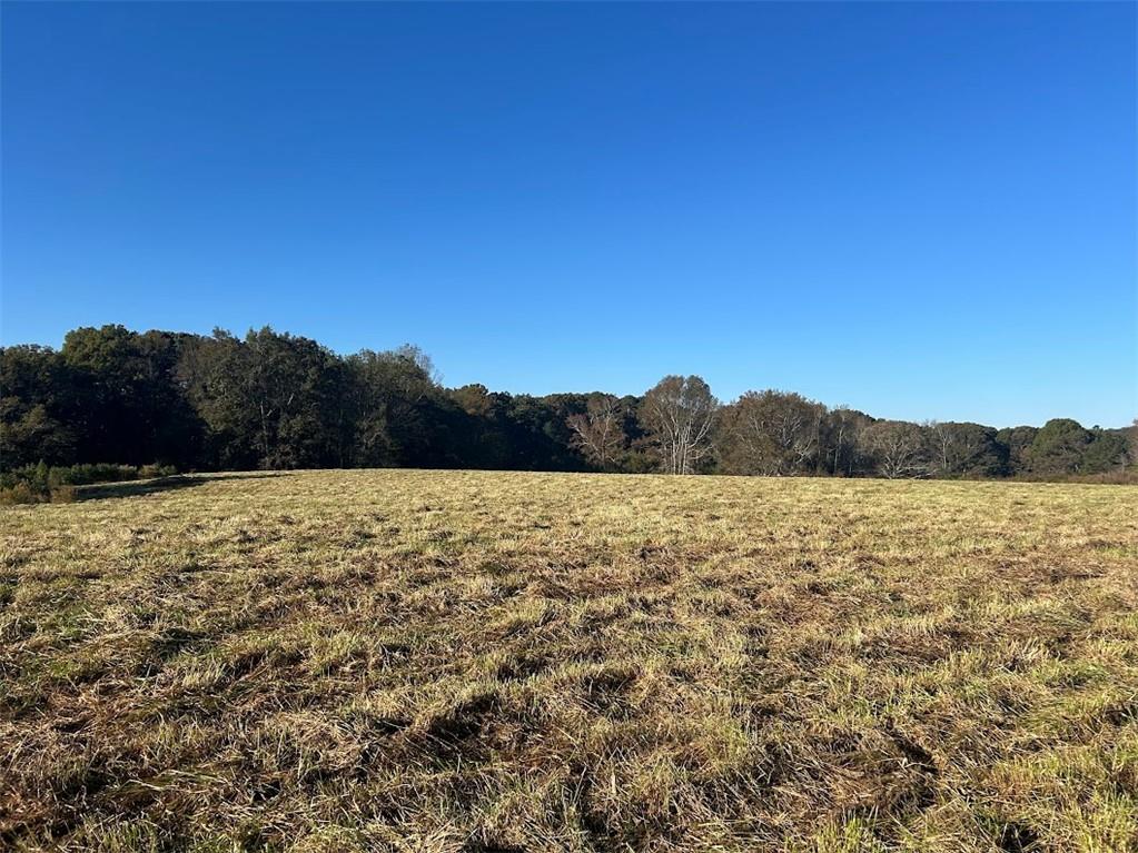 0 Old Columbus Road Bowdon, GA 30108 - Photo 1 of 26