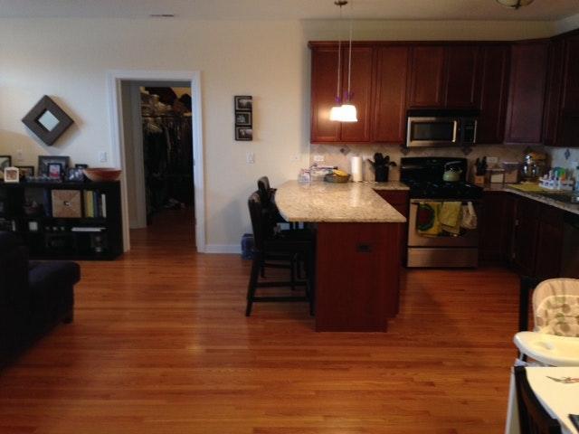 3152 West Devon Avenue, Unit 3B Chicago, IL 60659 - Photo 9 of 23