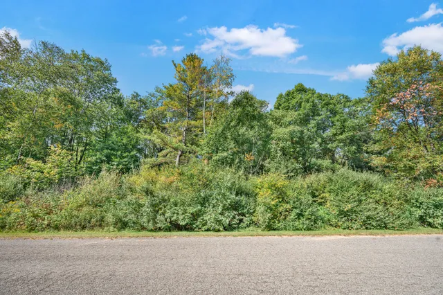 $22,000 | Lot 11 Executive Drive, Big Rapids, MI 49307