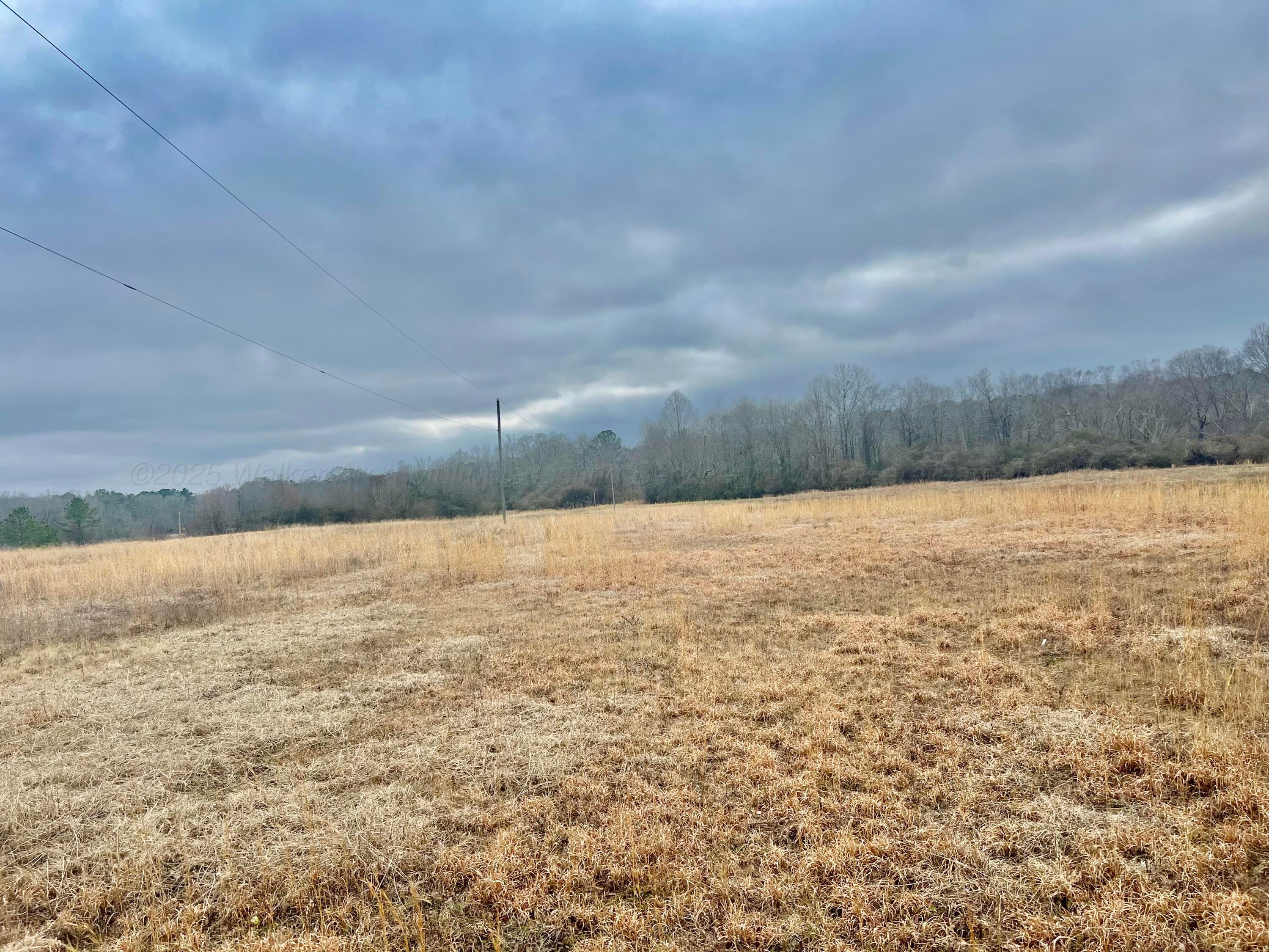 Trull Road Winfield, AL 35594 - Photo 8 of 24 Gallery Image 8