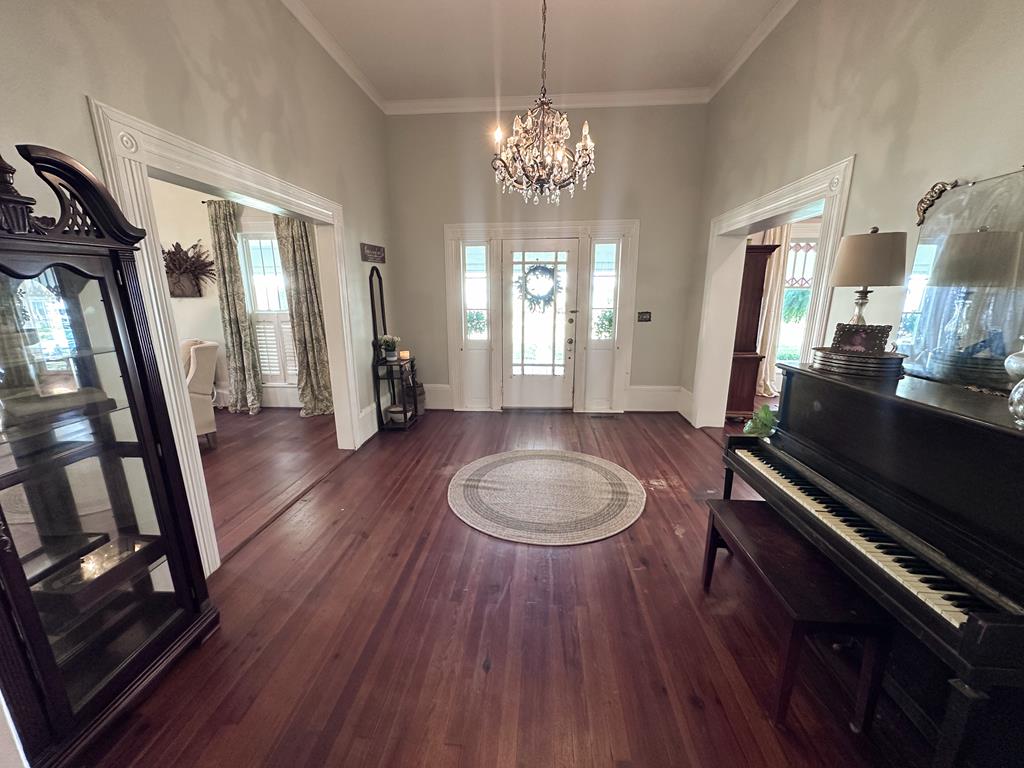 185 North Morris Street Slocomb, AL 36375 - Photo 7 of 58