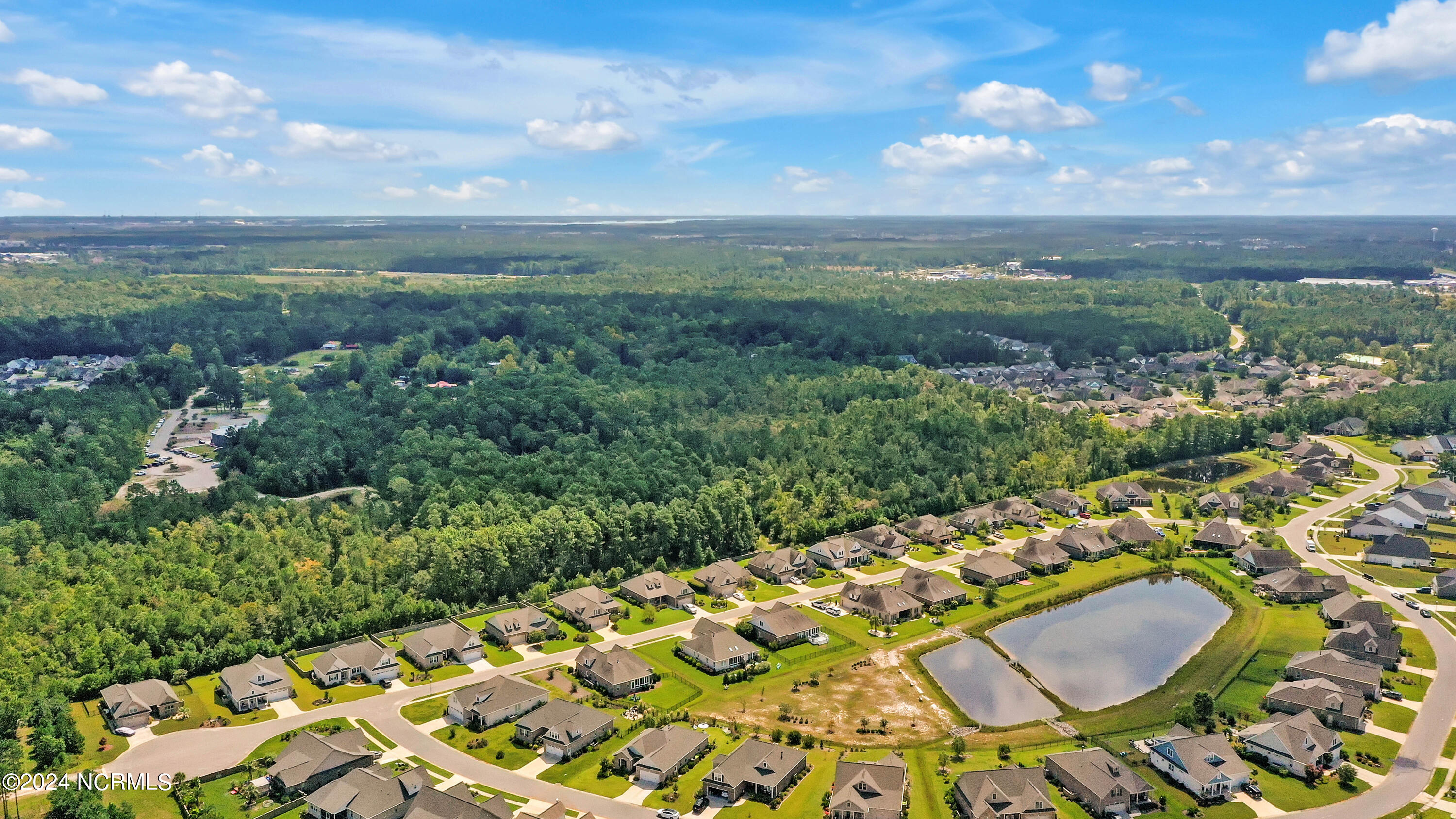 2128 Springstone Drive Leland, NC 28451 - Photo 46 of 51 2128SpringstoneDriveDrone-8