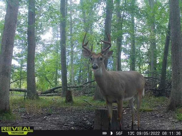 $372,900 | 9159 Moreland Road, Jerome, MI 49249