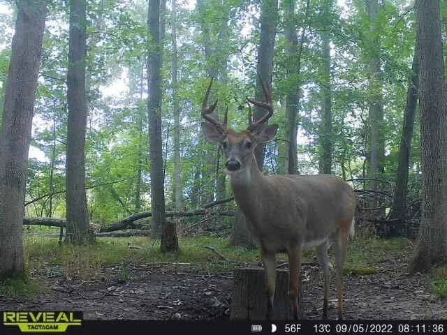 $379,900 | 9159 Moreland Road, Jerome, MI 49249