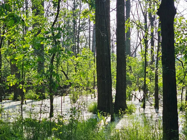 $372,900 | 9159 Moreland Road, Jerome, MI 49249