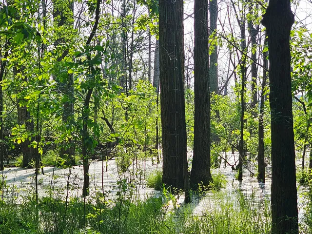 $379,900 | 9159 Moreland Road, Jerome, MI 49249