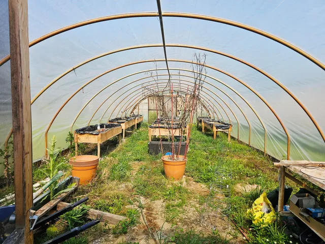 $379,900 | 9159 Moreland Road, Jerome, MI 49249