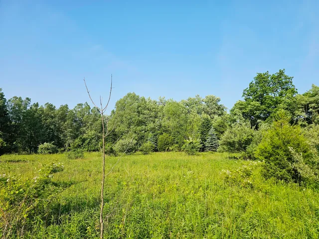 $379,900 | 9159 Moreland Road, Jerome, MI 49249