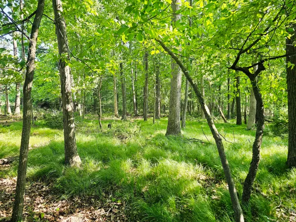 $372,900 | 9159 Moreland Road, Jerome, MI 49249